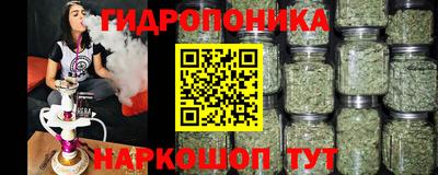 jwh Партизанск