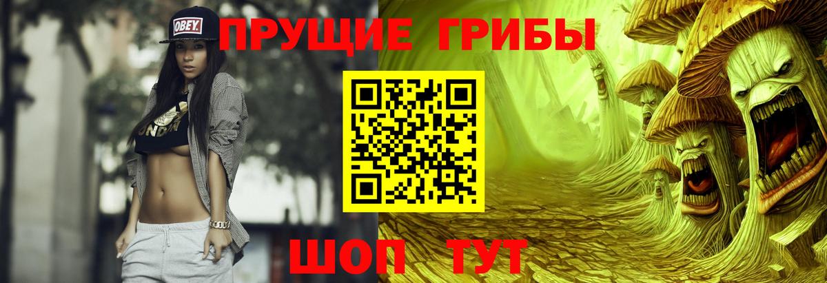 Псилоцибиновые грибы GOLDEN TEACHER  Вход с VPN  Сердобск 